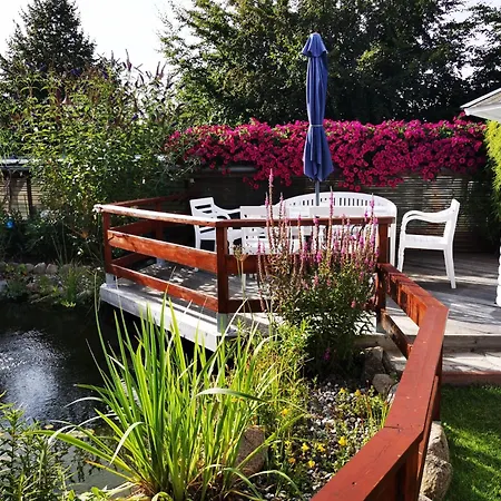 Beier Oben * Heringsdorf (Usedom)