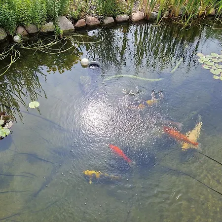 Beier Oben Διαμέρισμα