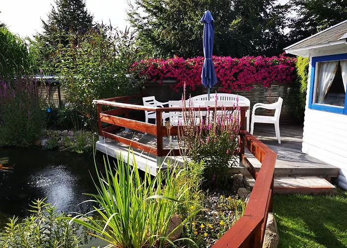 Beier Oben * הרינגסדורף